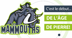 logo sportif école