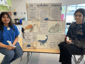 Foire STIAM de l'école Pierre-de-Blois